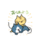 こそあどねこ（個別スタンプ：35）