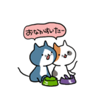 こそあどねこ（個別スタンプ：37）