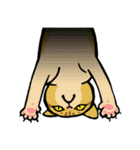 ねこ！？（個別スタンプ：20）