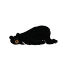 BLACK BEAR（個別スタンプ：12）