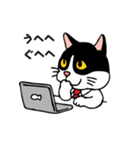 社長ネココ（個別スタンプ：9）