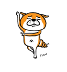 Shiba Dog PanPan's normal life（個別スタンプ：1）