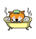 Shiba Dog PanPan's normal life（個別スタンプ：3）