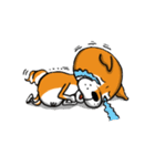 Shiba Dog PanPan's normal life（個別スタンプ：10）
