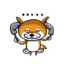 Shiba Dog PanPan's normal life（個別スタンプ：12）