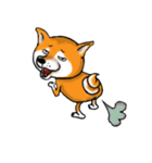 Shiba Dog PanPan's normal life（個別スタンプ：13）