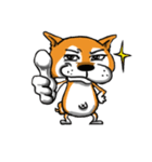 Shiba Dog PanPan's normal life（個別スタンプ：16）