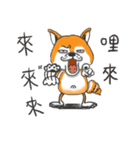 Shiba Dog PanPan's normal life（個別スタンプ：19）