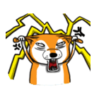 Shiba Dog PanPan's normal life（個別スタンプ：23）