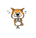 Shiba Dog PanPan's normal life（個別スタンプ：24）