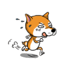 Shiba Dog PanPan's normal life（個別スタンプ：27）