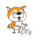 Shiba Dog PanPan's normal life（個別スタンプ：28）