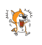 Shiba Dog PanPan's normal life（個別スタンプ：29）