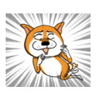 Shiba Dog PanPan's normal life（個別スタンプ：30）