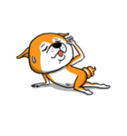 Shiba Dog PanPan's normal life（個別スタンプ：31）