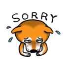 Shiba Dog PanPan's normal life（個別スタンプ：34）
