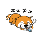 Shiba Dog PanPan's normal life（個別スタンプ：40）
