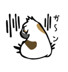 ハムスターじゃないよ！モルモットだよ！（個別スタンプ：4）