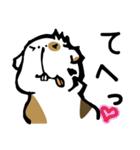 ハムスターじゃないよ！モルモットだよ！（個別スタンプ：37）