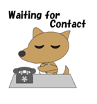 The salaried dog English version（個別スタンプ：26）
