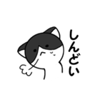 笑顔の白い人と猫（個別スタンプ：35）