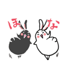関西弁白くて黒いうさぎさんスタンプ（個別スタンプ：39）