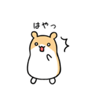 おしゃべりハム（個別スタンプ：14）