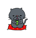 はなぺちゃにゃんこ（個別スタンプ：21）