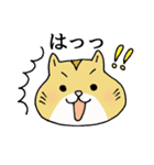うちのきなこ（個別スタンプ：5）