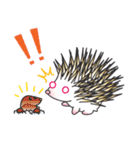 ハリネズミのブッキー（個別スタンプ：7）