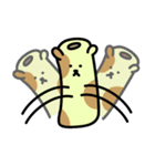 ぶちハム（個別スタンプ：14）
