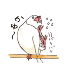 文鳥の毎日（個別スタンプ：37）