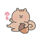 まきしっぽのリス（個別スタンプ：1）