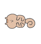 まきしっぽのリス（個別スタンプ：37）