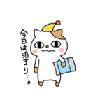 理系ねこ（個別スタンプ：13）