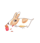 Toast, the lovely Corgi！（個別スタンプ：12）