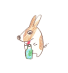Toast, the lovely Corgi！（個別スタンプ：17）