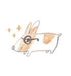 Toast, the lovely Corgi！（個別スタンプ：21）