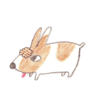 Toast, the lovely Corgi！（個別スタンプ：23）