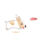 Toast, the lovely Corgi！（個別スタンプ：32）