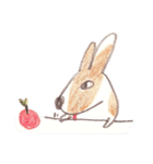 Toast, the lovely Corgi！（個別スタンプ：36）