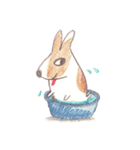 Toast, the lovely Corgi！（個別スタンプ：39）