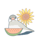 文鳥づくし（個別スタンプ：34）