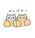 チョッピとキララ（個別スタンプ：20）