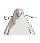 ペンギンの赤ちゃん（個別スタンプ：16）