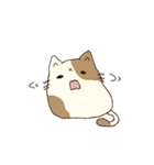 ぶちくろしま。（個別スタンプ：4）