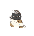 ぶちくろしま。（個別スタンプ：21）