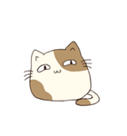 ぶちくろしま。（個別スタンプ：31）