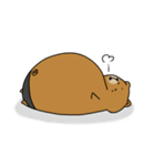 やさぐれくま夫（個別スタンプ：31）
