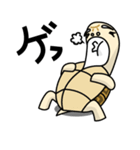 かめかめさまさま（個別スタンプ：38）